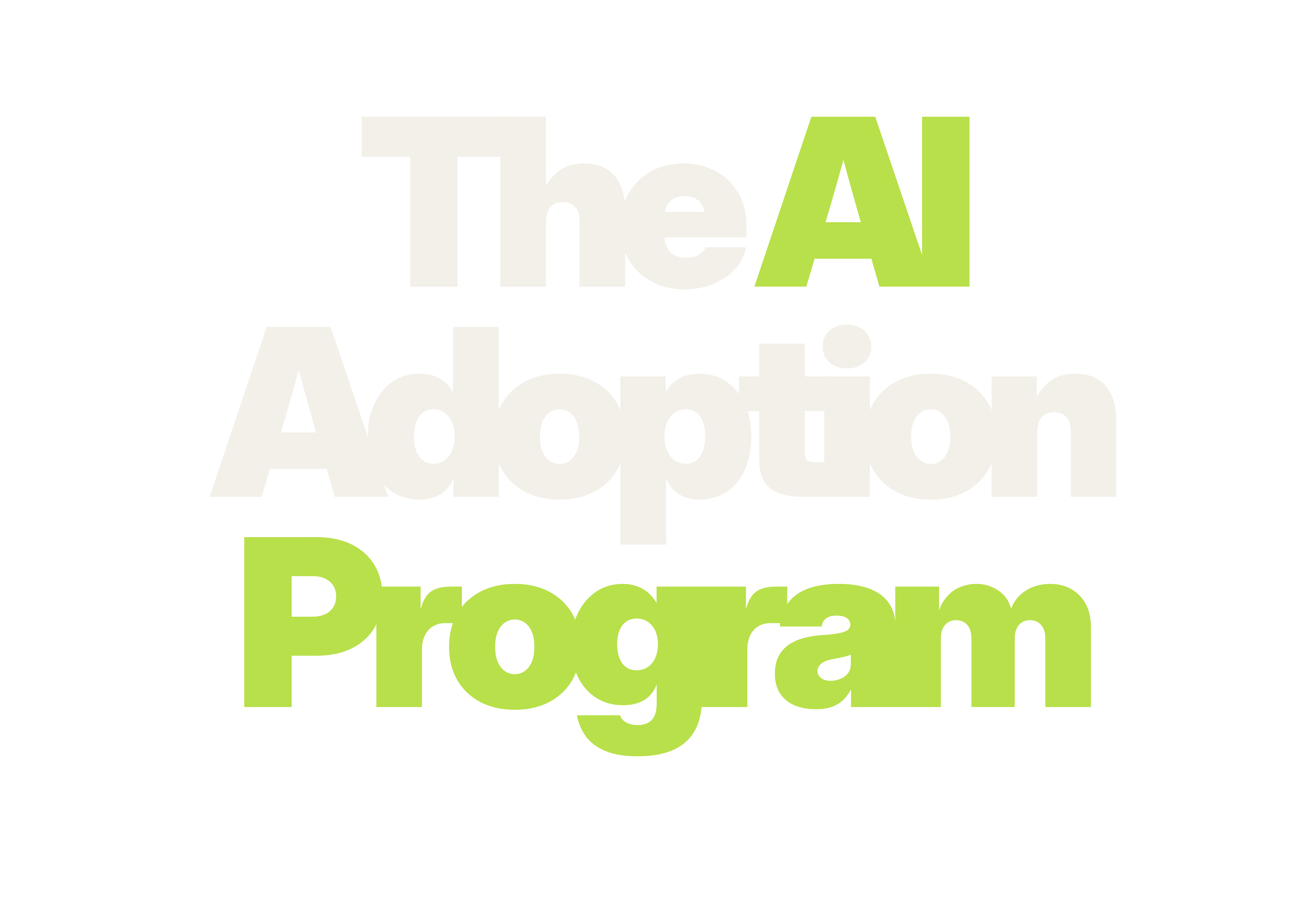 The AI Adoption Program